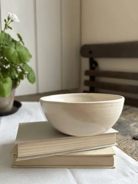 A small off-white ceramic bowl with a textured, ribbed exterior and smooth interior, resting on a stack of two books on a white tablecloth. A potted green plant is visible in the soft-focus background on the left.